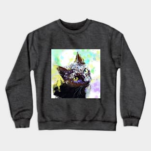 colorful cat Crewneck Sweatshirt